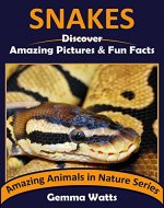 SNAKES! Kids Book About Snakes - Fun Facts & Pictures About Snakes, Snake Anatomy, Snake Habitat & More (Amazing Animals in Nature Series 3) - Book Cover