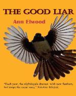 The Good Liar - Book Cover