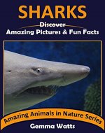 SHARKS: Discover Amazing Pictures and Fun Facts (Amazing Animals in Nature Series Book 8) - Book Cover