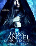 Dark Angel Box Set Books 1-2: Angelfire, Angelstone - Book Cover