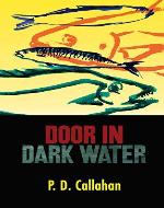 Door in Dark Water - Book Cover