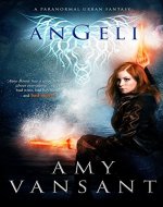 Angeli: The Pirate, the Angel & the Irishman - Book Cover