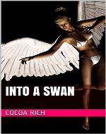 Into a Swan - Book Cover