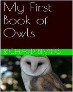 My First Book of Owls - Book Cover