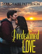 Predestined Love: An Inspirational Christian Romance - Book Cover