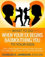 What to Do When Your Ex Begins Badmouthing You to Your Kids: The Loving Parent’s Practical Guide Through The Legal Jungle Known As “Parental Alienation” - Book Cover