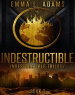 Indestructible: (Indestructible Book 1) - Book Cover