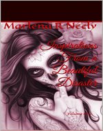 Inspirations From A Beautiful Disaster: BOOK ONE (My Life Unfolds Diabolic Oragami 1) - Book Cover