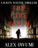 The Fire Raven - Book Cover