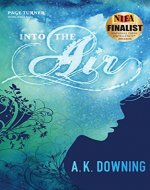 Into The Air (The Air Series Book 1) - Book Cover