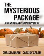 The Mysterious Package: A Hannah & Tamar Mystery - Book Cover