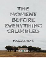 The Moment before Everything Crumbled - Book Cover