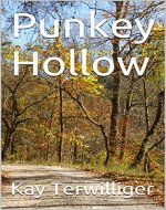 Punkey Hollow (The Nettie Series Book 3) - Book Cover