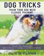 Dog Tricks: Train Your Dog with Clicker Dog Training (Train Your Dog to Sit, Stay, Come, Down & Heel) - Book Cover