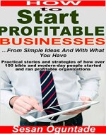 How to Start Profitable Businesses and Organizations from Simple Ideas and With What You Have: Practical Stories of How Bible and Modern-day People Started and Ran Profitable Organisations - Book Cover