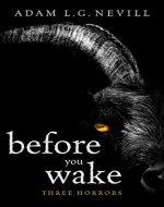 Before You Wake: Three Horrors - Book Cover