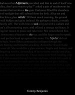 The Witch and the Spider (Alptraum Book 1) - Book Cover
