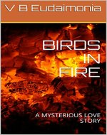 BIRDS IN FIRE: A MYSTERIOUS LOVE STORY - Book Cover
