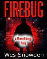 FIREBUG: A city burns while a psychopathic killer lurks in the shadows - Book Cover