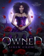 Owned (The Faeborne Brides Book 1) - Book Cover