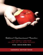 Biblical Dysfunctional Families That Made It and Now So Can You, No More Excuses: The Beginning - Book Cover