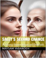 Sally's Second Chance: A Story from Jesus of Detroit - Book Cover