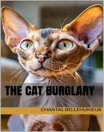 The Cat Burglary