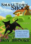 Small Town Shock (Some Very English Murders Book 1) - B00VGQXDWE on Amazon