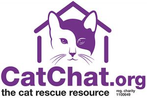 CatChat.org