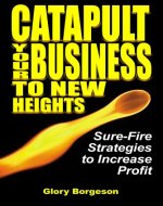 Catapult Your Business to New Heights: Sure-Fire Strategies to Increase Profit - Book Cover
