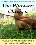 The Working Chicken: Learn everything you need to know to become a backyard egg and meat producer in 30 minutes or less! - Book Cover