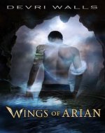 Wings of Arian (Young Adult Fantasy) (The Solus Series Book 1) - Book Cover