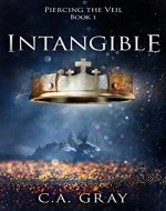 Intangible: A Clean and Wholesome Adventure Series (Piercing the Veil Book 1) - Book Cover