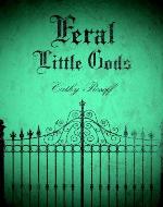 Feral Little Gods - Book Cover