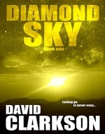 Diamond Sky - Book Cover