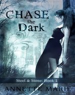 Chase the Dark (Steel & Stone Book 1) - Book Cover