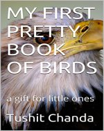 MY FIRST PRETTY BOOK OF BIRDS: a gift for little ones - Book Cover