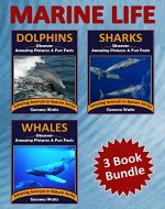 MARINE LIFE 3-BOOK BUNDLE: Dolphins, Sharks and Whales (Amazing Animals in Nature Series) - Book Cover