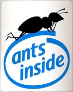 Ants inside: the truth about computers (Pisolo Books) - Book Cover