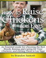 How to Raise Chickens for Eggs: An Essential Guide for Choosing the Best Breeds, Raising and Caring for Your Chickens, and Getting Them to Lay Eggs - Book Cover
