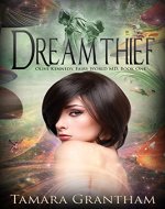 Dreamthief (Fairy World MD Book 1) - Book Cover