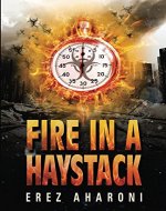 Fire in a Haystack: A Thrilling Novel (Legal Mystery Book Book 1) - Book Cover