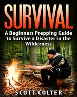 Survival: A Beginners Prepping Guide to Survive a Disaster in the Wilderness (Book, Ultimate ) - Book Cover