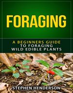 Foraging: A Beginners Guide to Foraging Wild Edible Plants (foraging, wild edible plants, foraging wild edible plants, foraging for beginners, foraging wild edible plants free,) - Book Cover