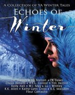 Echoes of Winter: A Wintery YA Short Story Collection - Book Cover