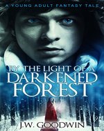 By The Light Of A Darkened Forest - Book Cover