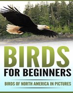Birds for Beginners: Birds of North America in Pictures - Book Cover