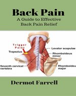 Back Pain: A Guide to Effective Back Pain Relief (Natural Health Solutions Book 5) - Book Cover