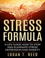 Stress Formula: A Life Guide How To Stop And Eliminate Stress, Depression And Anxiety (Worrying, Goals, Mind, Power, Mindfulness, Way, Confidence, Focus, Lifestyle, Minimalist) - Book Cover