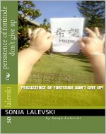 Persistence Of Fortitude DON'T GIVE UP! - Book Cover